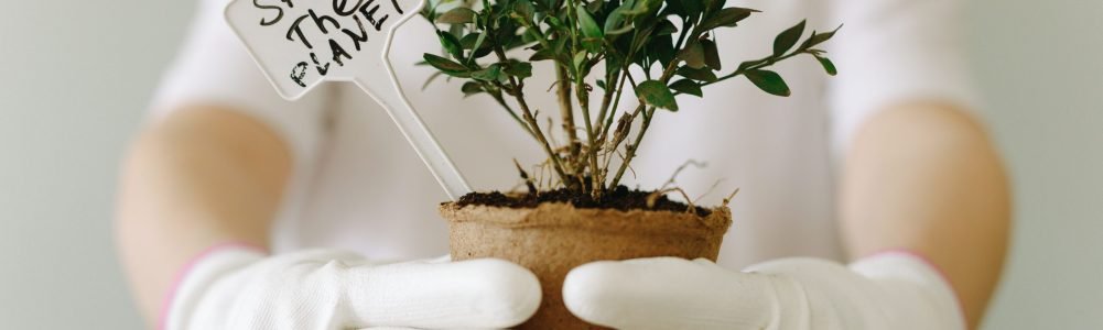 Close-up of hands in gloves holding a potted plant with 'Save the Planet' sign.